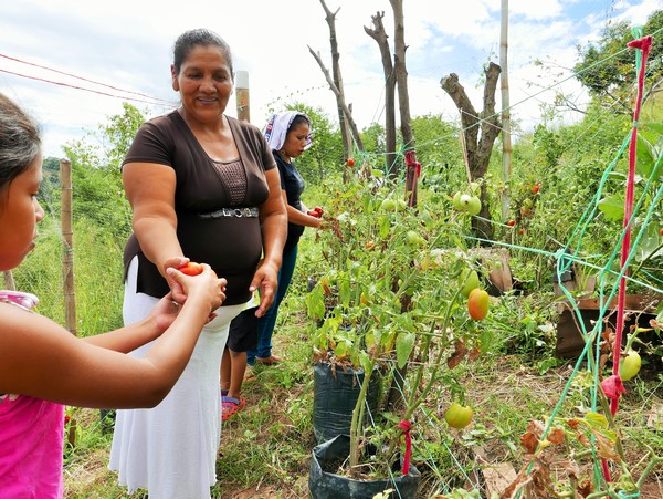 Garden sharing harvest Garden sharing harvest